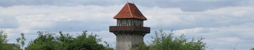 Der Wasserturm in Alsleben
