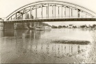 Der Neue Saaletal unter der Saalebrücke in Alsleben