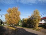 Herbst in der Naundorfer Straße